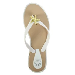 C&C California Women's Gold Medallion Flip Flop Thong Sandal -Bearpaw Shoes Shop GUEST cb73db7a ab54 4542 af9e 3ee8a83f0d14